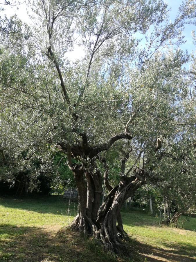 Vacanze In Collina, Tra Mare E Monti Bucchianico Kültér fotó