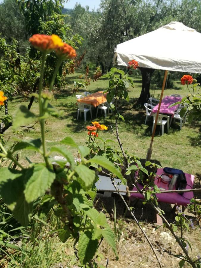 Vacanze In Collina, Tra Mare E Monti Bucchianico Kültér fotó